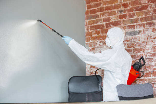 Best Dehumidification Services  in Palmhurst, TX