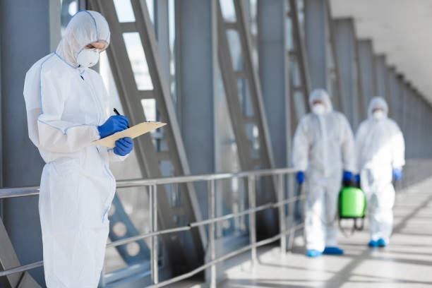 Best Mold Remediation for Rental Properties  in Palmhurst, TX