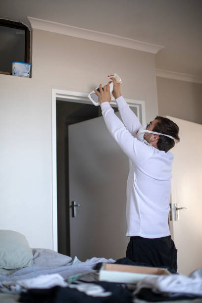 Best Water Damage & Mold Remediation  in Palmhurst, TX