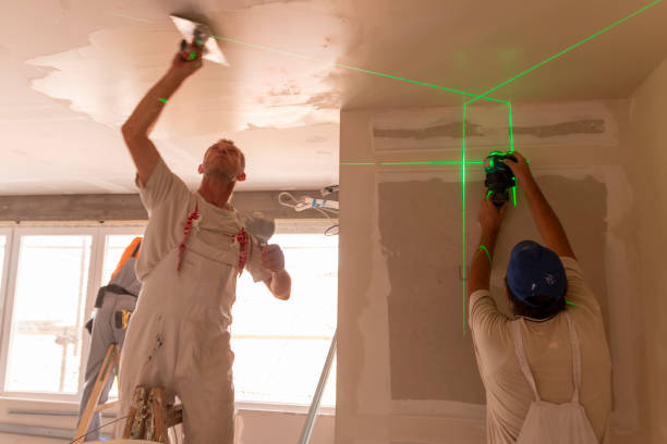 Best Industrial Mold Remediation  in Palmhurst, TX