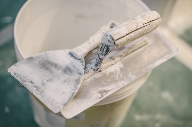 Palmhurst, TX Mold Removal Company