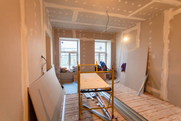 Best Post-Construction Mold Inspection  in Palmhurst, TX