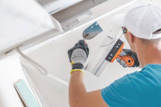 Best Mold Documentation for Insurance Claims  in Palmhurst, TX